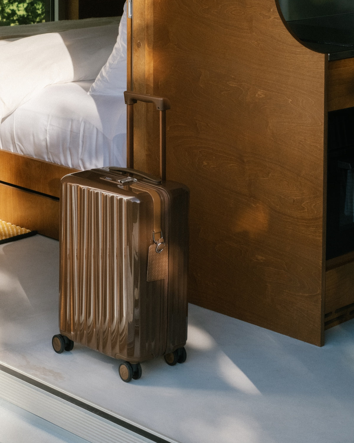 Chestnut Brown - Bold Cabin Bag V2 + Bold Check-In (L) Bag V2 Bundle