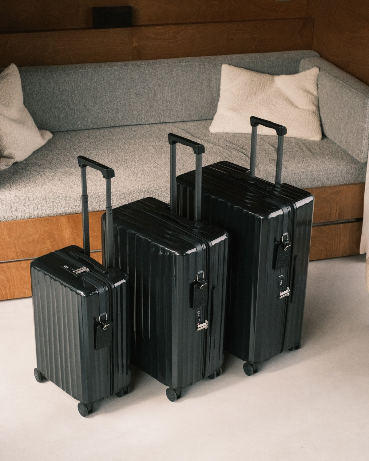 Charcoal Black - Bold Cabin Bag V2 + Bold Check-In (M) Bag V2 - Bold Check-In (L) Bag V2 Bundle