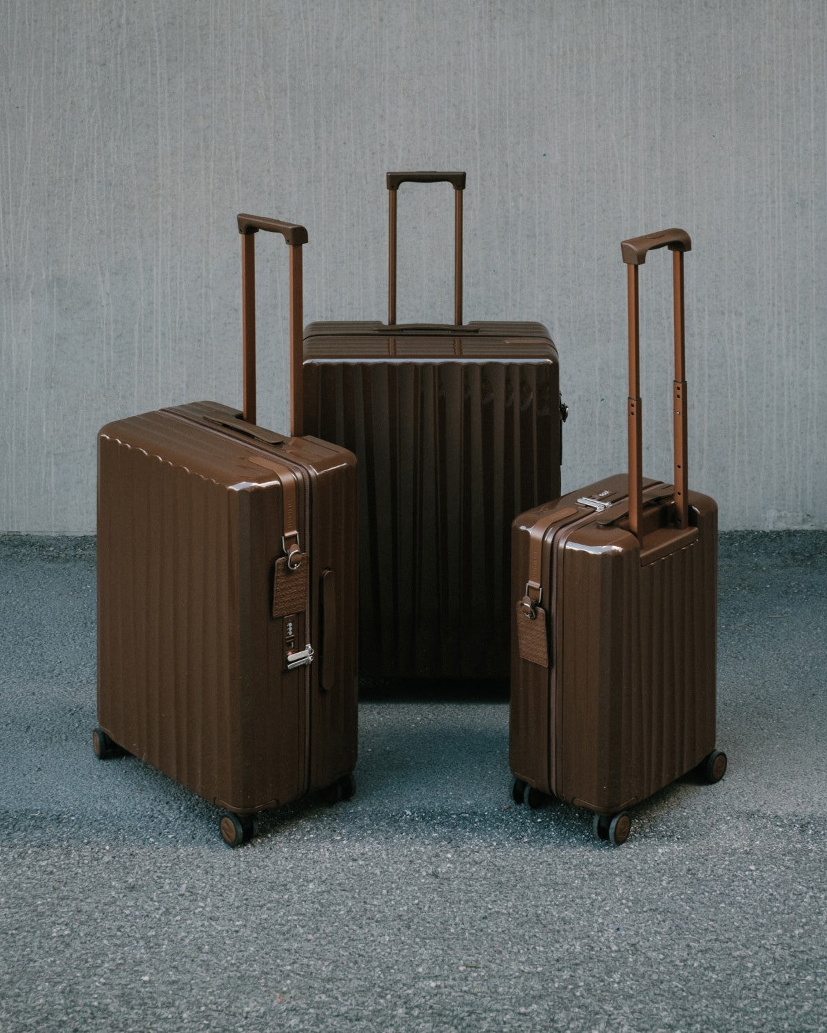Chestnut Brown -  Bold Cabin Bag V2 + Bold Check-In (M) Bag V2 - Bold Check-In (L) Bag V2 Bundle